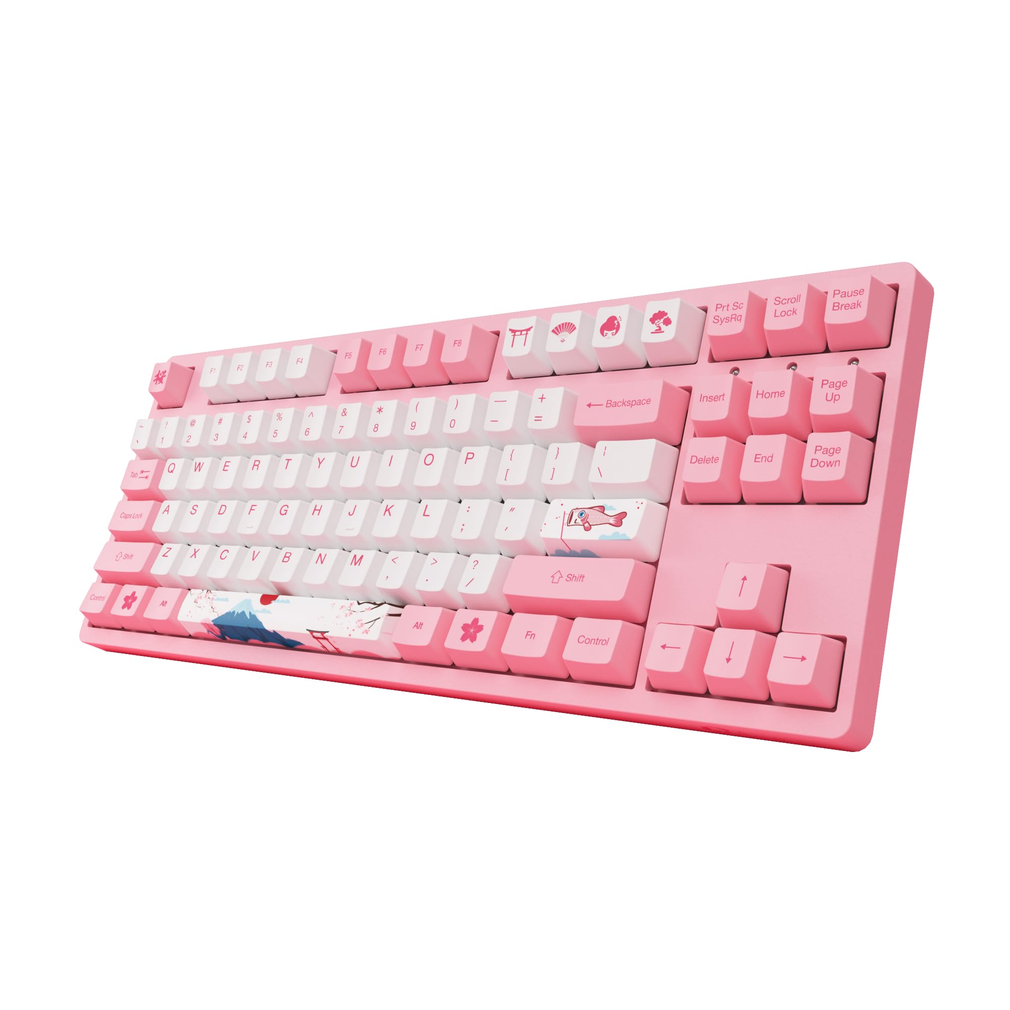 Amazon | Akko TKL 有線ゲーミングメカニカルキーボード
